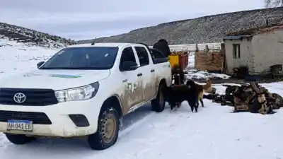 Nevadas en Río Negro: el operativo que asiste a las comunidades más aisladas