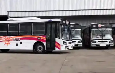 Llegan 35 colectivos 0 km a Comodoro: conocé los detalles de las nuevas unidades que arrancan el sábado
