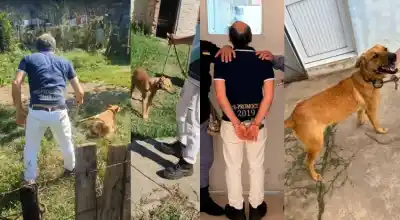 Golpeó a una perra con un cable y terminó detenido: las imágenes que lo delataron