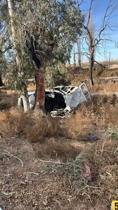 Cinco muertos en la Ruta 20: la intendenta revela lo que Vialidad no quiere escuchar