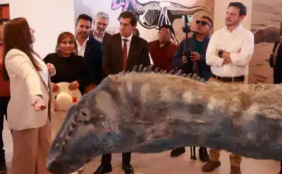 Abrieron un centro con fósiles únicos en la Quebrada y lo que esconden las rocas te va a sorprender