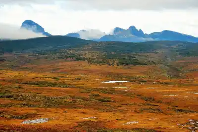 Mientras el Senado debate flexibilizar la Ley de Tierras, en Tierra del Fuego van a contramano: quieren blindar el campo
