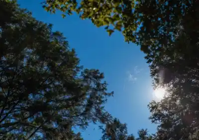 ¿Cómo seguirá el clima? La humedad no da tregua en Corrientes