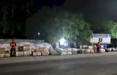 Operativo Lapacho en Tucumán: incautan 54 encomiendas con mercadería ilegal en ruta 34