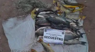 Los sacaron del agua con 49 peces y terminaron en la mira de la Justicia