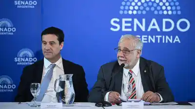 El Senado acelera: 30 audiencias para jueces clave y dos nombres que definirán el futuro del caso $LIBRA