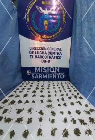 Una encomienda delató a una mujer: incautaron marihuana por $1,1 millón en Merlo