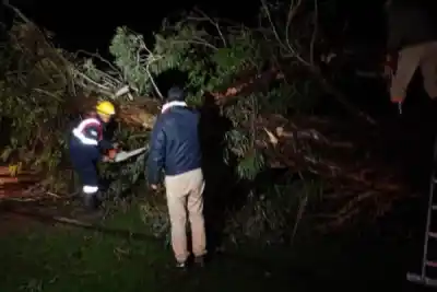 Ráfagas de más de 100 km/h azotaron Alvear: una casa destruida y la ciudad a oscuras
