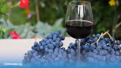 El sorprendente dato que esconden las bodegas salteñas