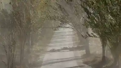 Vuelve el Zonda al Gran San Juan: ráfagas de hasta 60 km/h y más nieve en cordillera