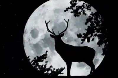 Esta noche no te podés perder la Luna del Ciervo: el espectáculo celeste que promete dejar a todos con la boca abierta