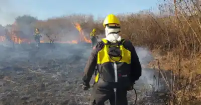 En un solo día: cinco incendios forestales sacudieron distintos puntos de la ciudad