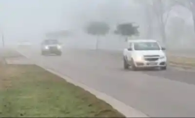 El cielo de Santa Rosa desapareció: la niebla paralizó la ciudad