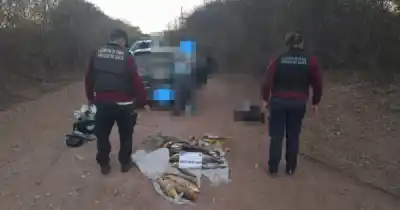 Hallaron 49 peces y una red prohibida: lo que encontraron en un auto los dejó helados