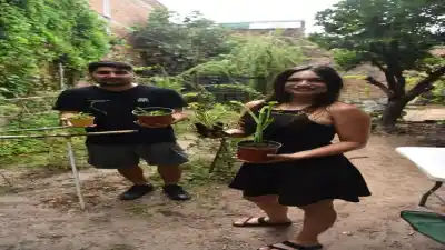CAPITAL: El secreto de la pareja que cultiva plantas asesinas en el patio de su casa