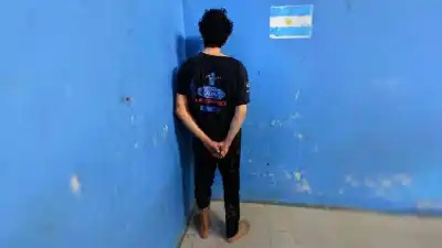 Terror en Allen: un intruso saltó el cerco, tiró piedras y aterrorizó a una familia