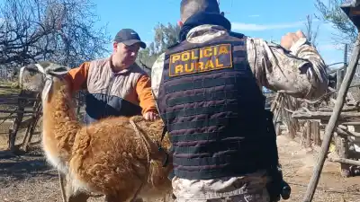 Allanaron una casa en Caucete y lo que encontraron adentro sorprendió a todos
