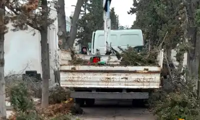 Cambio de luminarias y poda en el cementerio de Trelew: ¿qué buscan con estas mejoras?