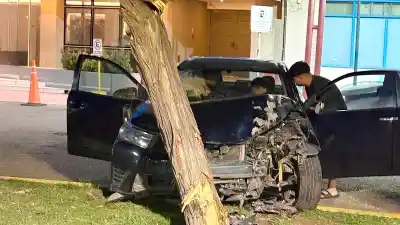 Impactaron contra un árbol en pleno centro y terminaron hospitalizados