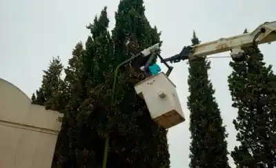 Mejoras en el cementerio de Trelew: lo que encontraron cuando cambiaron las luces
