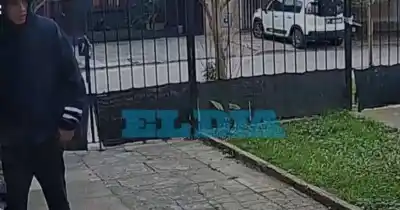 Así actuó un "robacable" en pleno día en una casa de Tolosa: el video que alarmó al barrio
