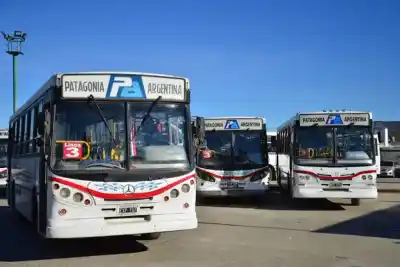 Cambios en la línea 3 de Comodoro: lo que tenés que saber antes de subir al colectivo
