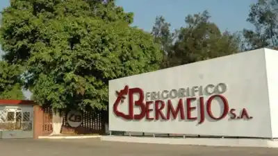 Cierre en Pichanal: el Frigorífico Bermejo se muda, pero no deja el norte salteño