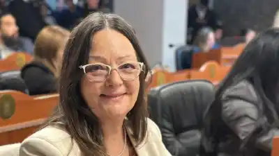 Media sanción en Diputados: buscan rescatar las esculturas abandonadas de Catamarca