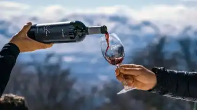 Vinos neuquinos: el evento que promete revolucionar la escena gastronómica en San Martín de los Andes