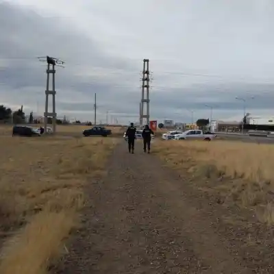 Derribaron 14 postes para llevarse casi 2 km de cable de cobre de un yacimiento petrolero