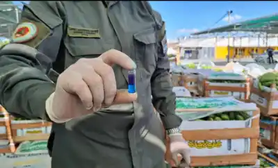 El alerta de Zigarán sobre la banana importada: ¿negocio narco detrás de la fruta subfacturada?