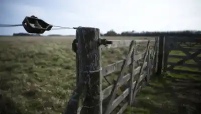 Alerta en el campo: el trámite que todos los productores deben hacer antes de que sea tarde