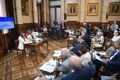 El Senado acelera el debate del Súper RIGI: ¿qué beneficios fiscales traería?