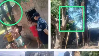 Policía de Tucumán rescata nueve aves silvestres en Tafí Viejo tras denuncia por tráfico ilegal