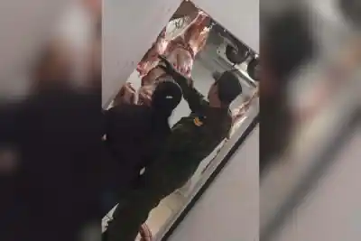 Encontraron 118 kilos de carne en mal estado en una carnicería de Goya y lo que descubrieron te va a preocupar