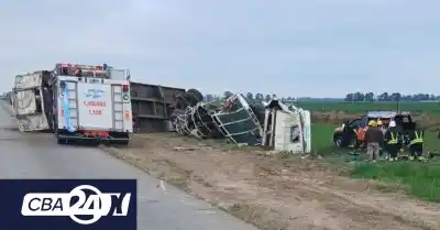Un camión con 30 vacas chocó contra un auto en Brinkmann y dejó tres heridos