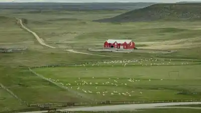 Mientras Milei flexibiliza, en Tierra del Fuego buscan blindar tierras estratégicas