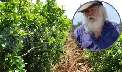 Crisis yerbatera: productores misioneros llevan su reclamo al obispo y al gobernador