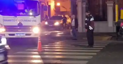 Atropelló a una paseadora de perros, mató a una mascota y huyó: la conductora ya fue detenida