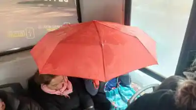 Abrió un paraguas adentro del colectivo para no mojarse: la insólita escena en la Línea 7
