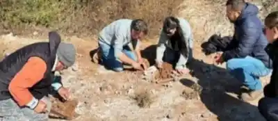 Hallazgo prehistórico en Marull: rescatan restos de un gliptodonte