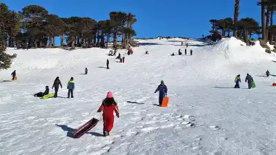 ¿Se viene el renacer de Primeros Pinos? Prepara una licitación que promete un parque abierto todo el año