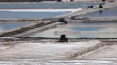 Litio en el norte: cinco megaproyectos aprobados bajo el RIGI que prometen inversiones millonarias