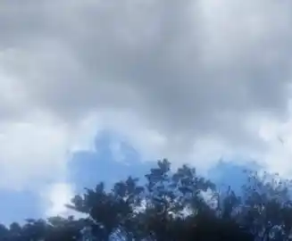 Pronóstico del clima: jueves nublado y húmedo en Corrientes