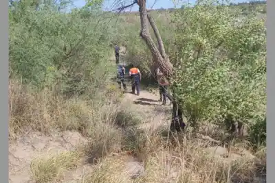 Se topó cara a cara con el cuatrero que faenó su vaca en pleno monte