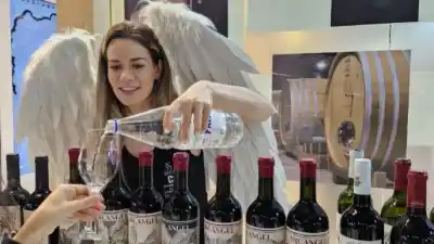 ProMendoza busca bodegas para una misión clave en Brasil: ¿qué se viene?
