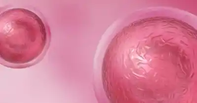 ¿Duele? ¿Afecta la fertilidad? Las dudas que frenan a las donantes de óvulos