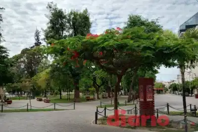 Santiago del Estero: el termómetro no da tregua y la humedad se vuelve protagonista