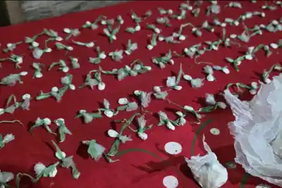 Corrió con una bolsa, se metió en una casa ajena y la dueña lo entregó: tenía 158 dosis de cocaína