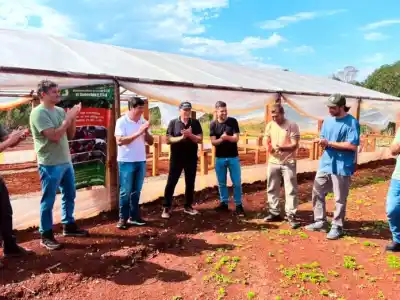 El Soberbio: la décima plantinera que cambia las reglas del juego para los productores locales